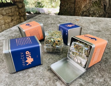 Spominki/Sentjur_Tour_Ipavecv_caj_Josip_Ipavec_Kalan_zelisca_3_b